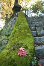 皇學館大学らしい晩秋の風景、旧六角講堂跡への石段